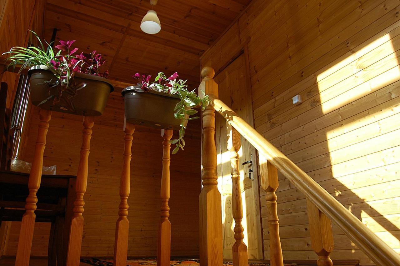 Badishi Guesthouse Μέστια Εξωτερικό φωτογραφία